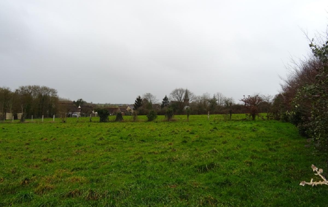 L'IMMOBILIER A LA LOUPE : Ground | LA LOUPE (28240) | 874 m2 | 28 000 € 