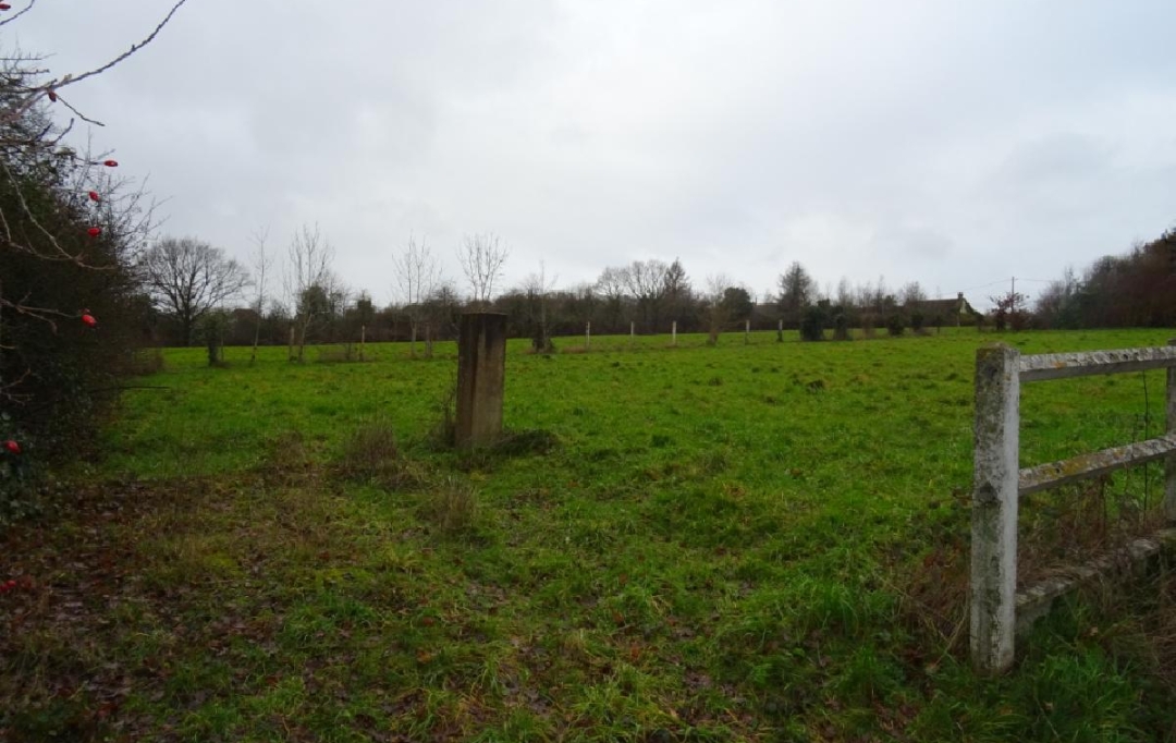 L'IMMOBILIER A LA LOUPE : Ground | LA LOUPE (28240) | 874 m2 | 28 000 € 