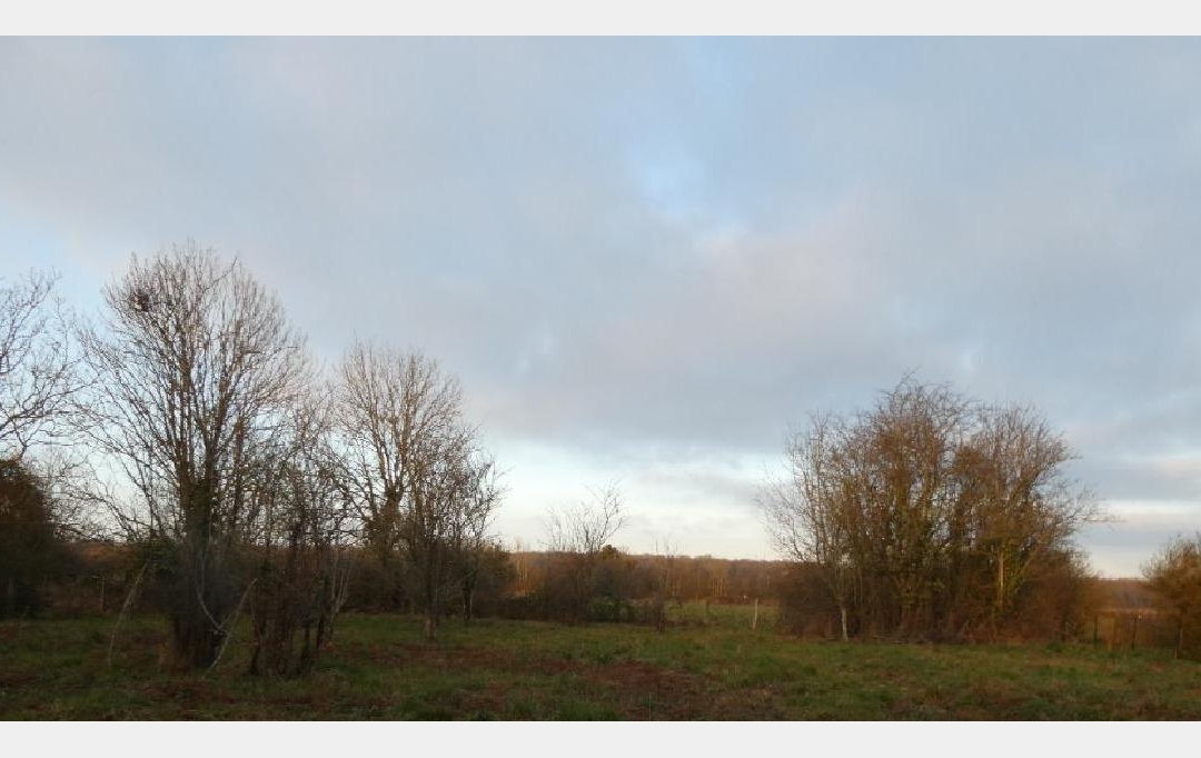 L'IMMOBILIER A LA LOUPE : Terrain | LA LOUPE (28240) | 1 372 m2 | 28 000 € 